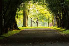 El Museo Chillida Leku por fin reabrirá sus puertas en abril de 2019