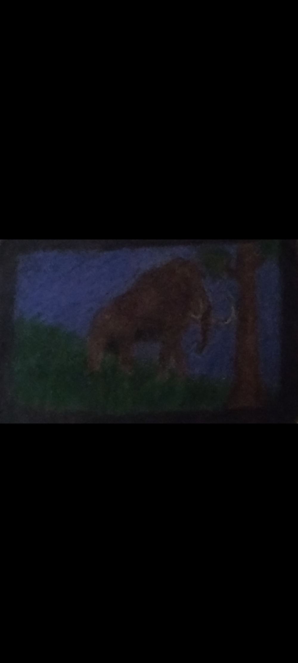 Mamut en Ventisca.