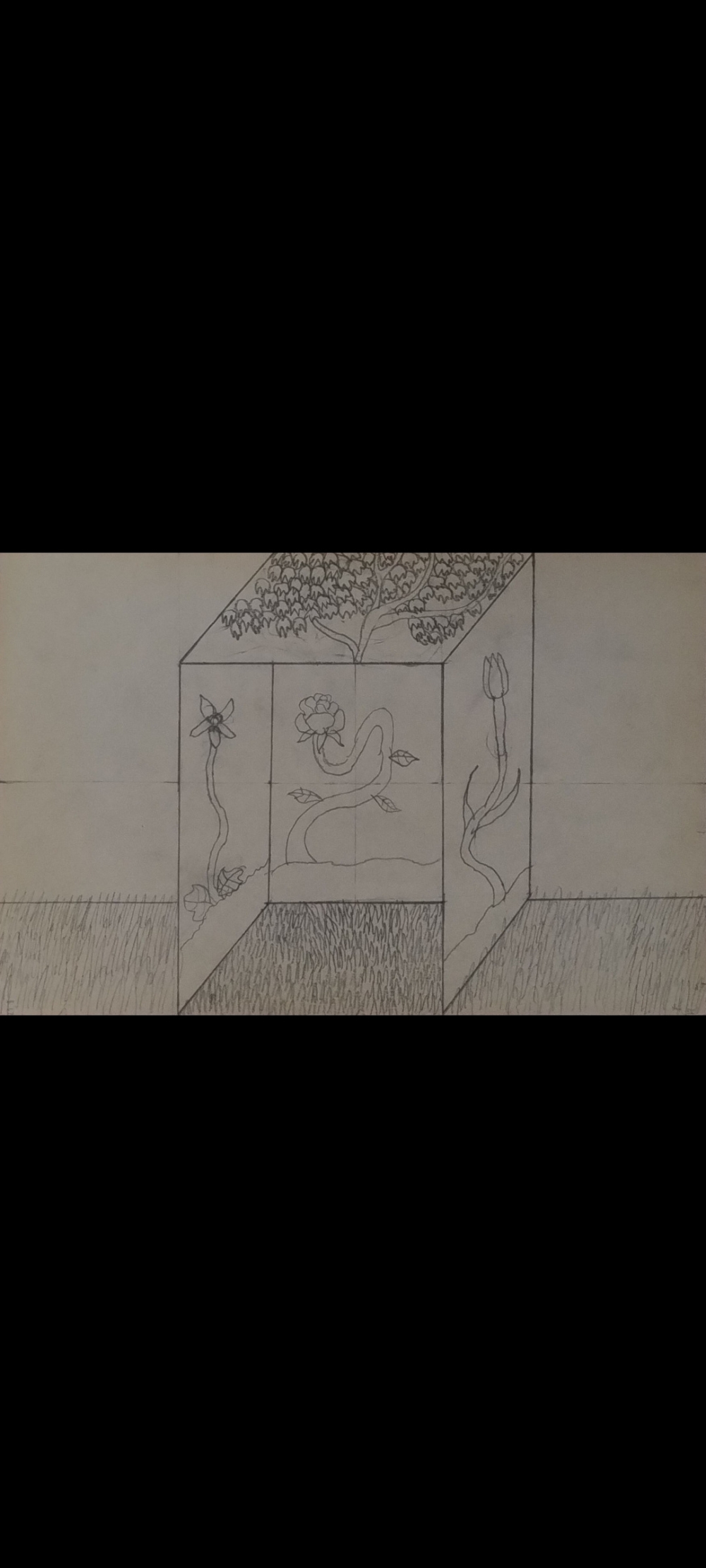 El Cubo de la Vida.
