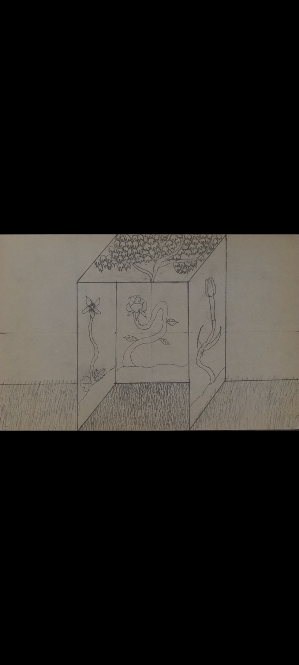 El Cubo de la Vida.