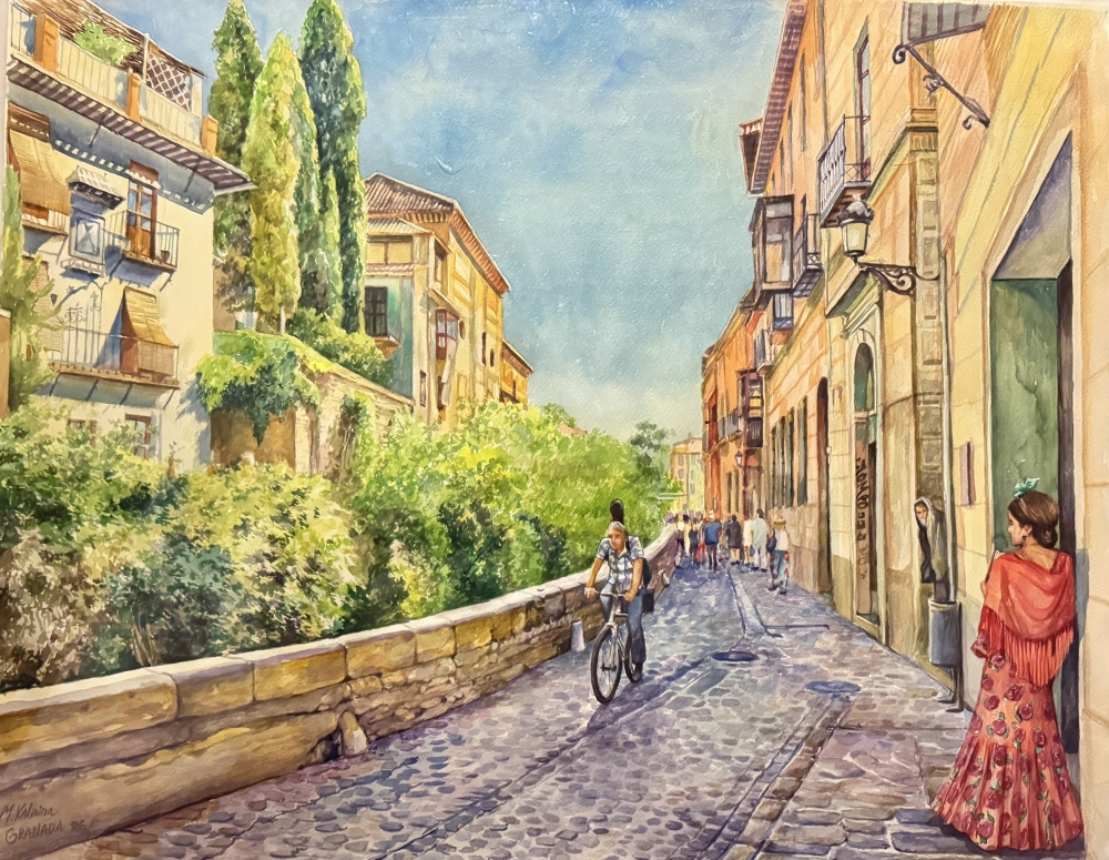Carrera del darro