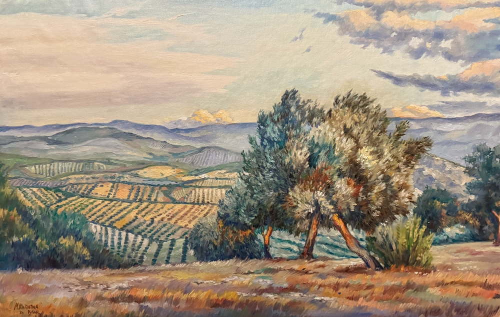 Olivar en Piñar