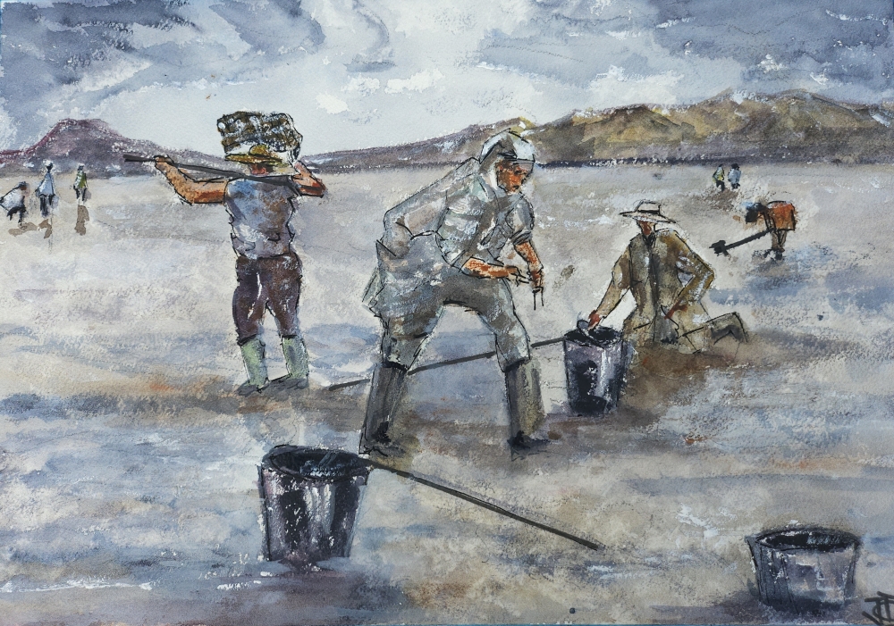 Galicia: Marisqueo