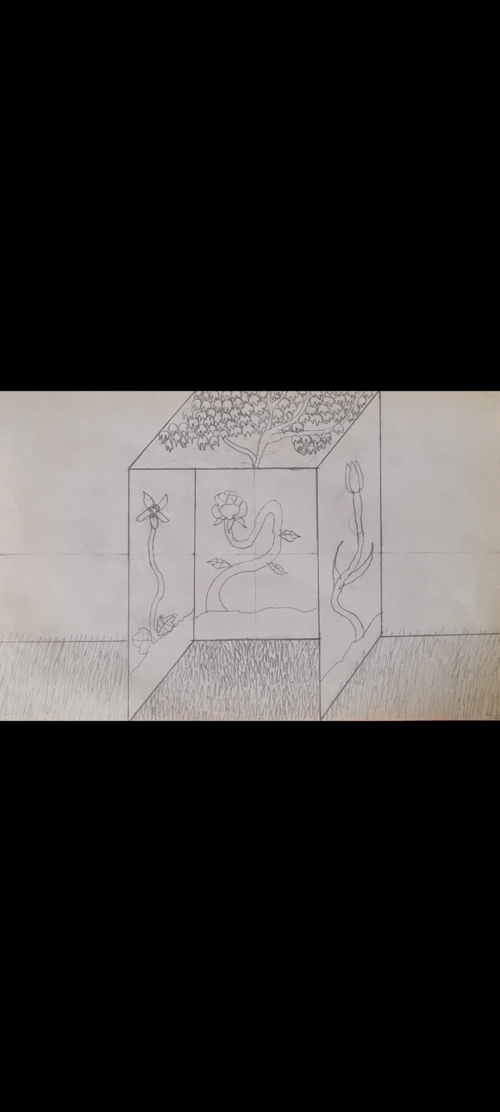 El Cubo de la Vida.